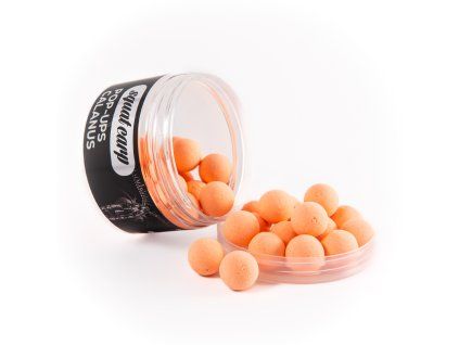 Pop-Up Calanus