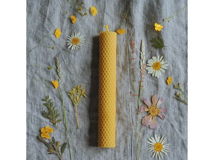 704fc49c e314 4086 a82a bbd6135a2075