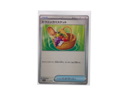 Picnic Basket (071/078)