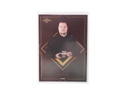 Legends 2024 MVP Guardian