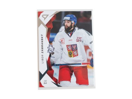 Hokejové Česko 2025 Libor Zábranský