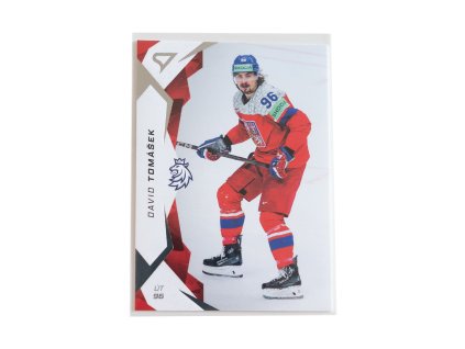 Hokejové Česko 2025 David Tomášek
