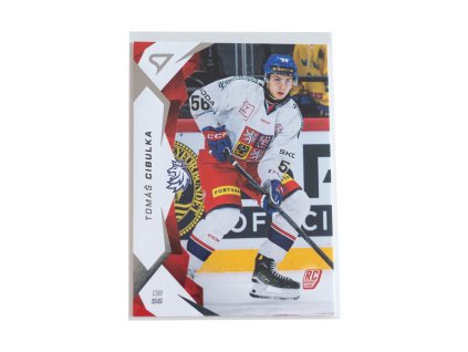 Hokejové Česko 2025 Tomáš Cibulka