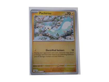 Pachirisu - Reverse Holo (051/132)