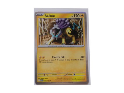 Raikou - Holo (048/132)