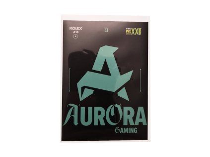 Aurora Gaming (A18)