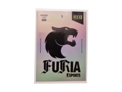 Furia Esports (A107)