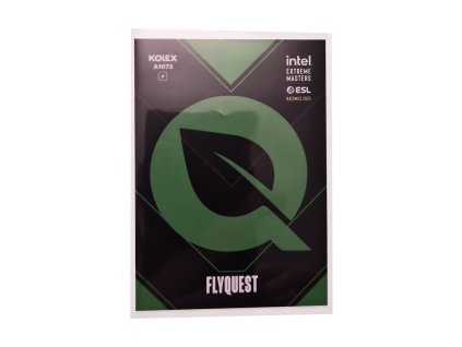 Flyquest (A1073)