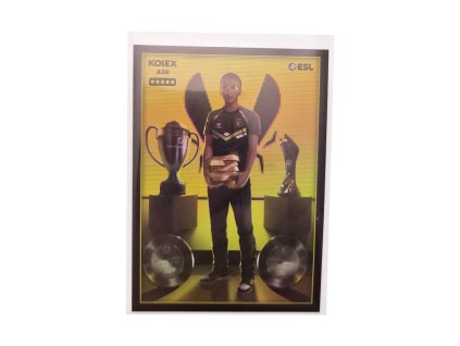 Ropz Showroom Art (A39)