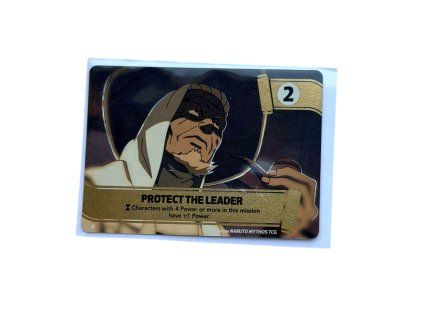 protect the leader