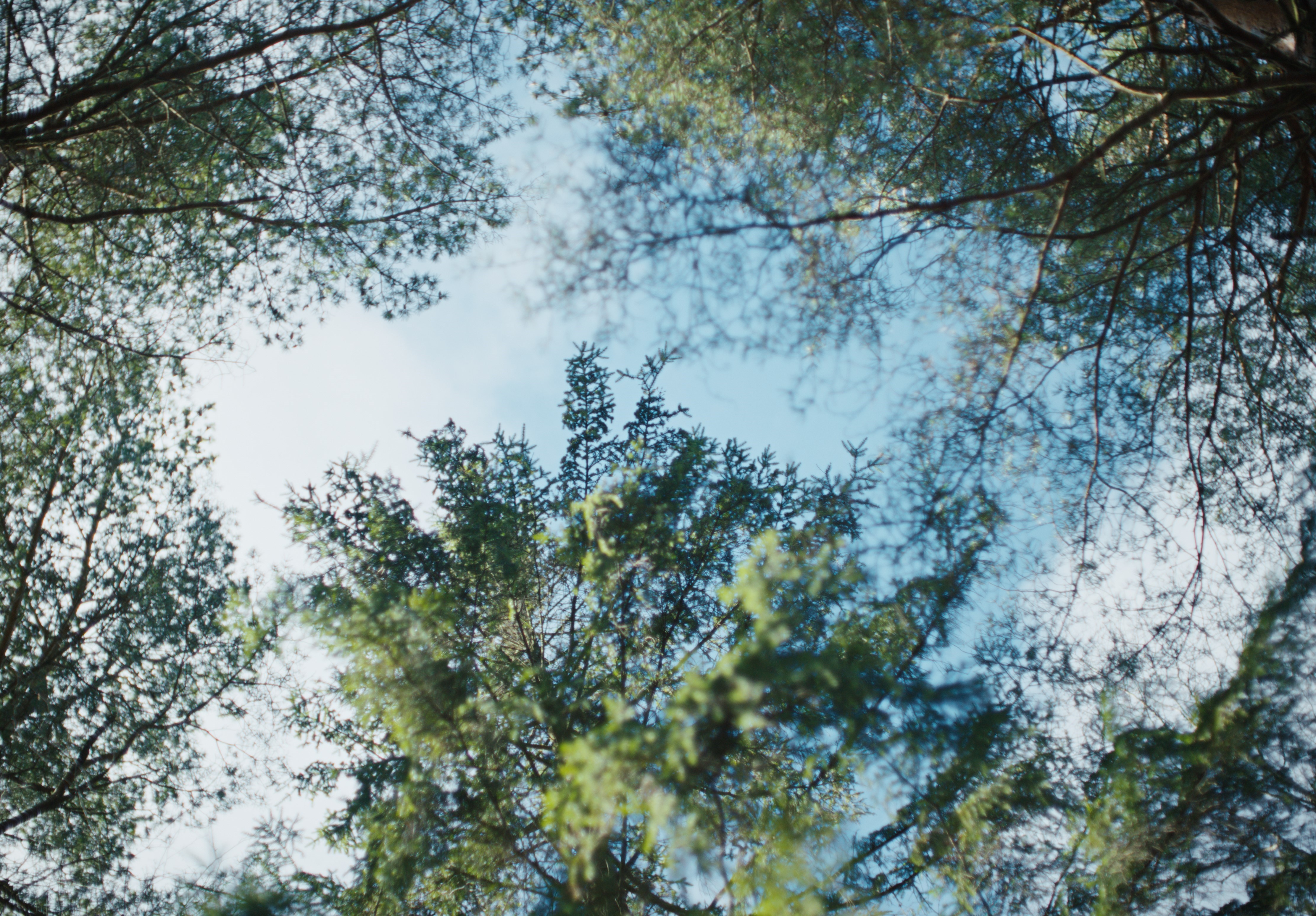 Společnost Volvo Cars spolupořádala testovací jízdy s elektrickými vozidly pro ministry států EU a současně předvedla téměř bezemisní ocel