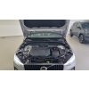 20240206 113801 m48fov9u