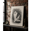 cat ls