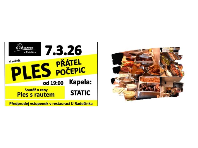 Vstupenka Ples přátel