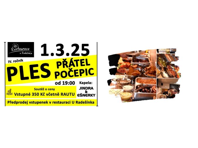 Vstupenka Ples přátel