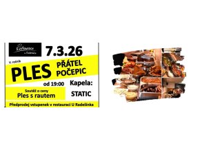 Vstupenka Ples přátel