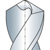 Obrázek (5)
