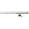 black cat prut hard core bank rod 3 m 600 g navijak