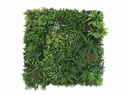 B9ED4925 FB7A 40DA 9144 BAA17ACF9A8E 1 201 a