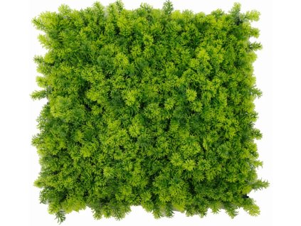 Snímek obrazovky 2024 01 17 194816