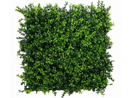 Snímek obrazovky 2024 01 17 191012