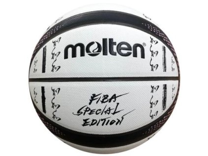 ZPJ9000101 mb123 7 basketbalovy mic molte