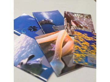 Deník ponorů Alea Divers