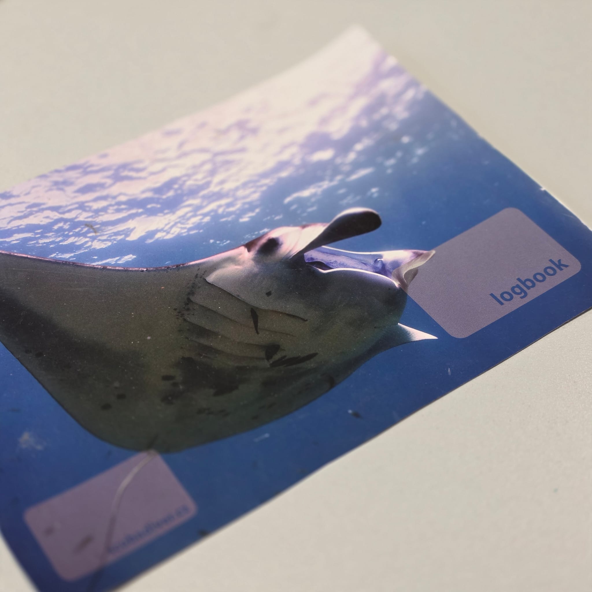 Levně Deník ponorů Alea Divers Obrázky: Manta