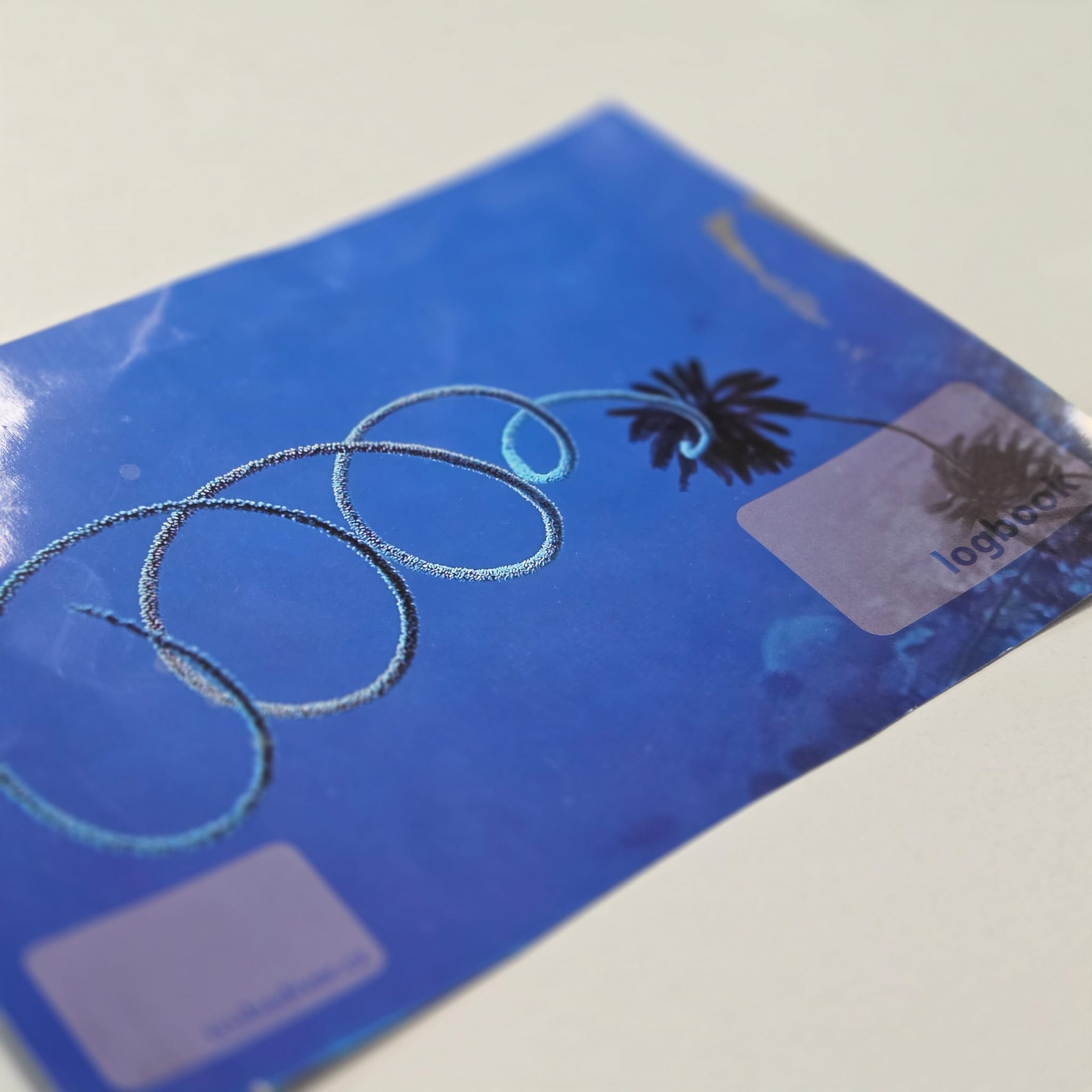 Levně Deník ponorů Alea Divers Obrázky: Palm Beach