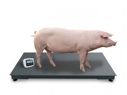 1077 5 podlahova vaha do 1 500 kg 80x150 cm