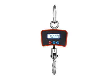 72816 66 72816 39 vyrp11 3863LCD