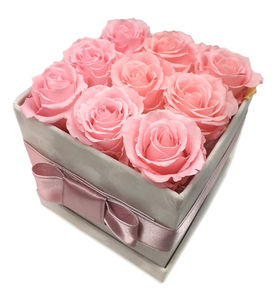 Stabilizovaná růže růžová