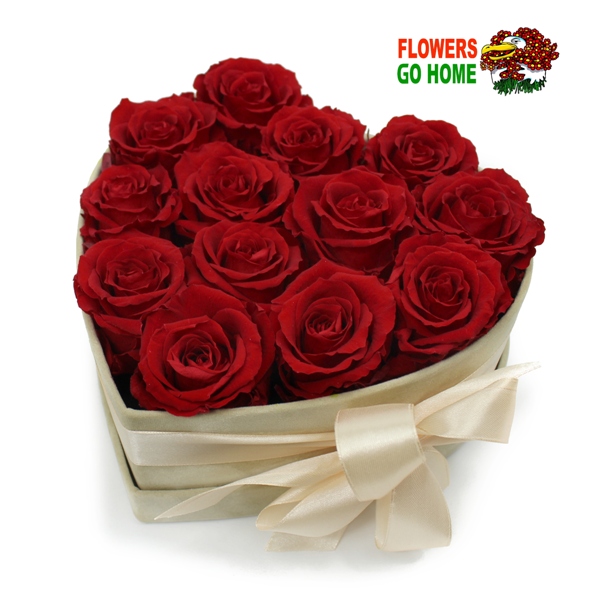 Stabilizovaná růže