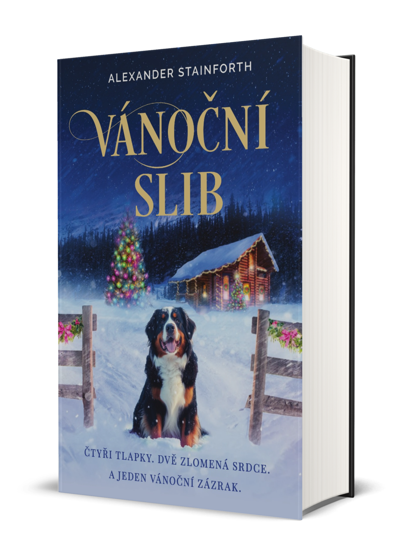 3D_Vanocni_slib