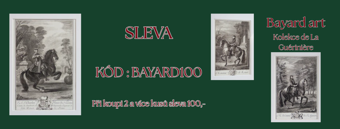 Bayard sleva
