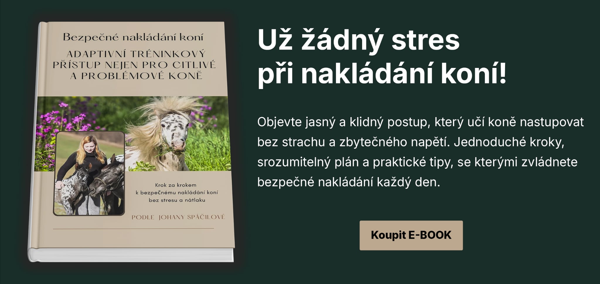 E-book Nakládání koní