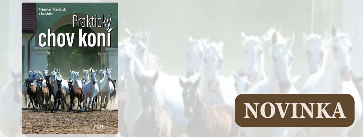 Praktický chov koní
