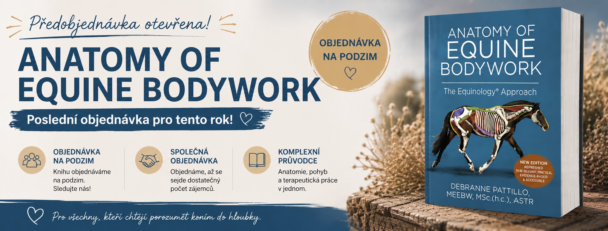 Anatomy of equine bodywork