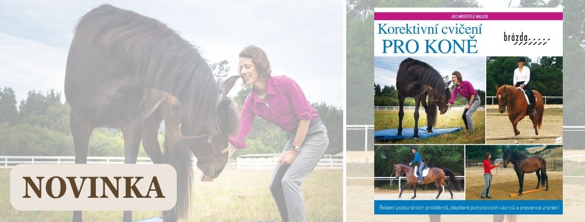 kniha o cvičení s koňmi