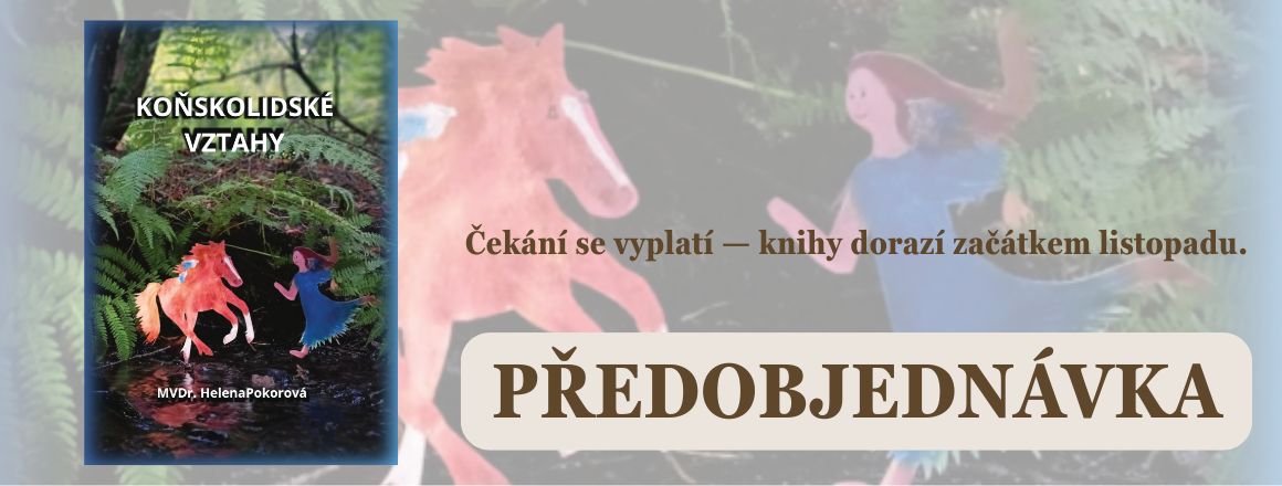 Koňskolidské vztahy