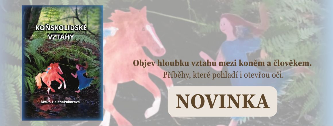 Koňskolidské vztahy