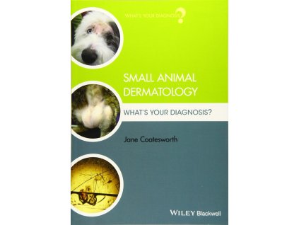 1180 small animal dermatology what s your diagnosis jane coatesworth