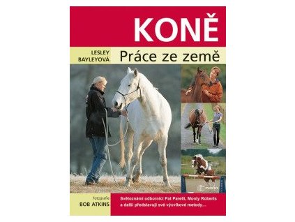 Koně - práce ze země