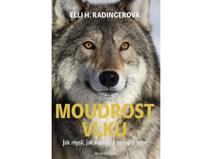 Moudrost vlků