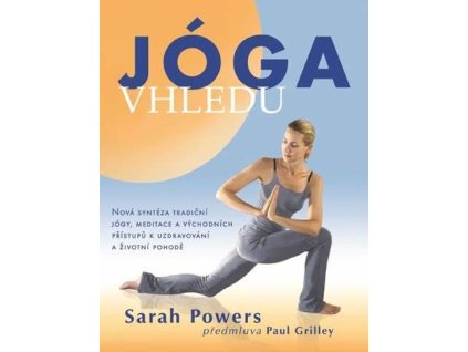 Jóga vhledu Nová syntéza tradiční jógy, meditace a východních přístupů k uzdravování a životní pohodě