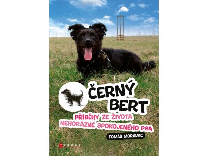 Černý Bert - příběhy ze života nehorázně spokojeného psa