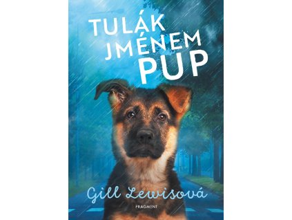 Tulák jménem Pup