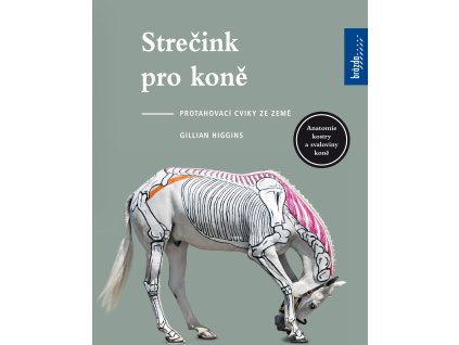strecink obalka