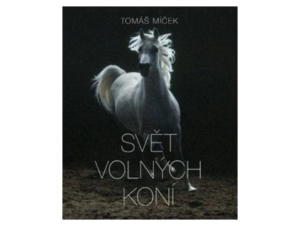 Svět volných koní