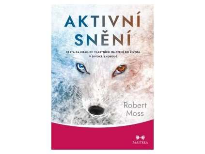 Aktivní snění - Cesta za hranice vlastních omezení do života v divoké svobodě
